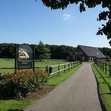 Recreatieoord Hippique Villa Westendorp Exterior photo