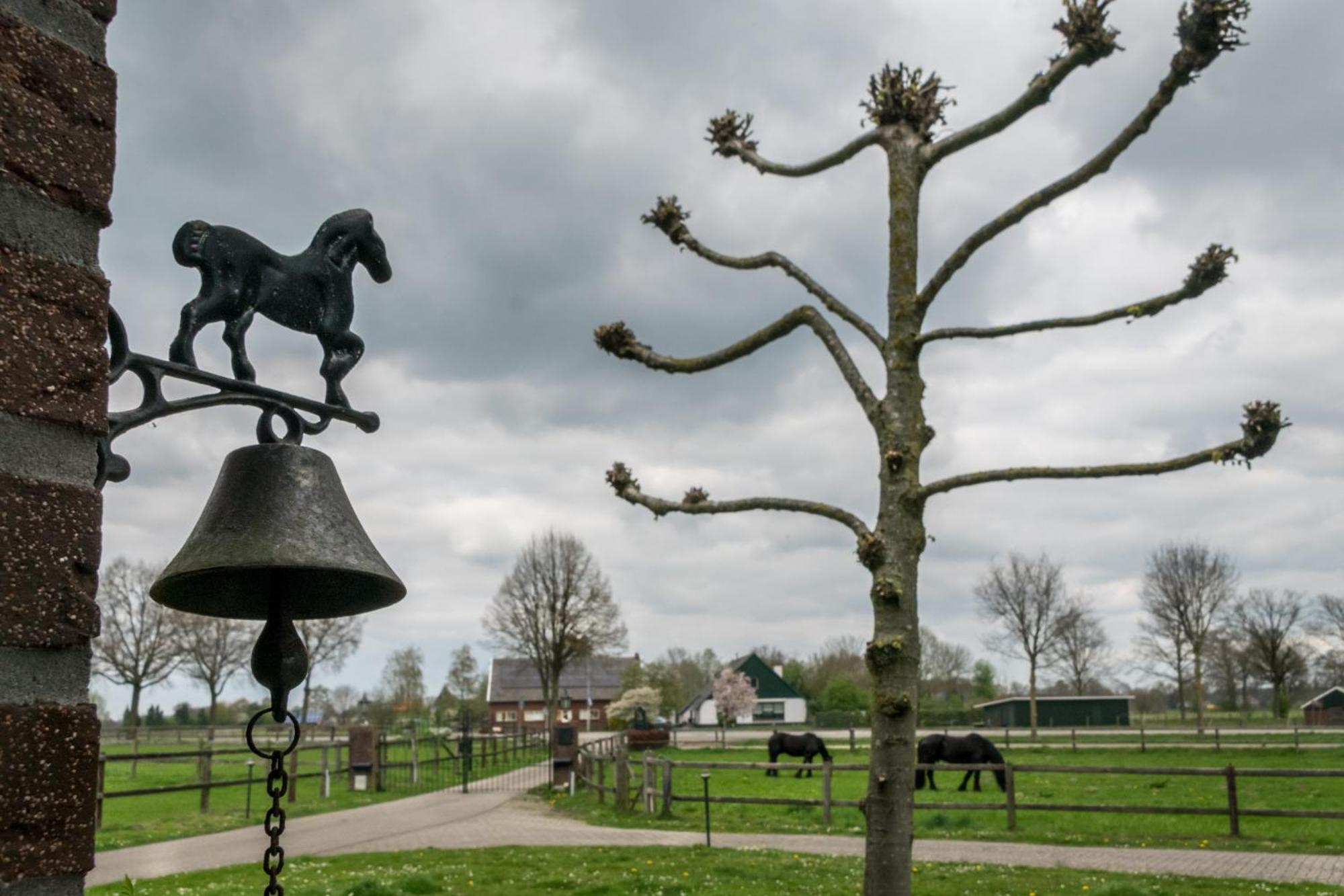 Recreatieoord Hippique Holiday home Westendorp