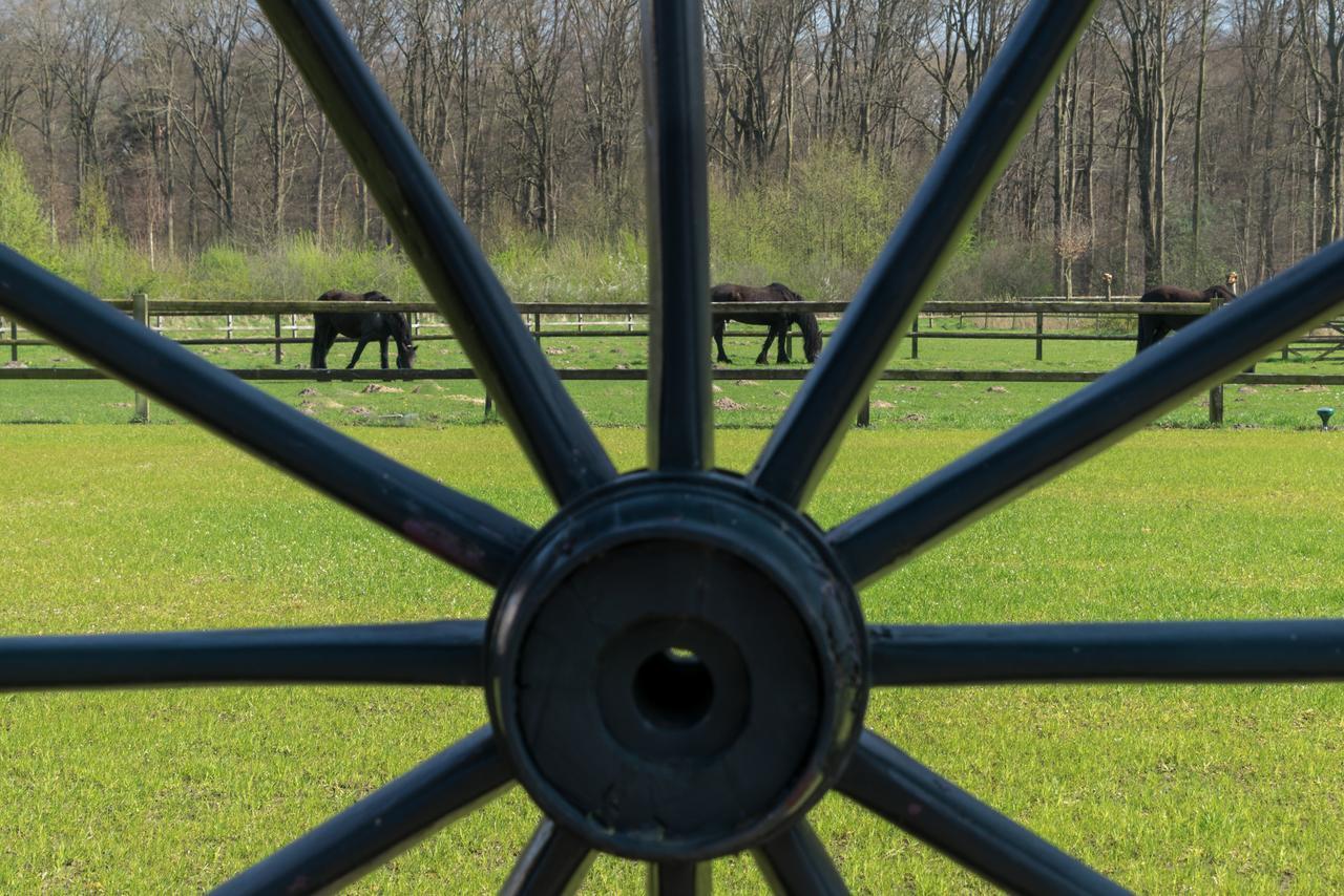 Recreatieoord Hippique Westendorp
