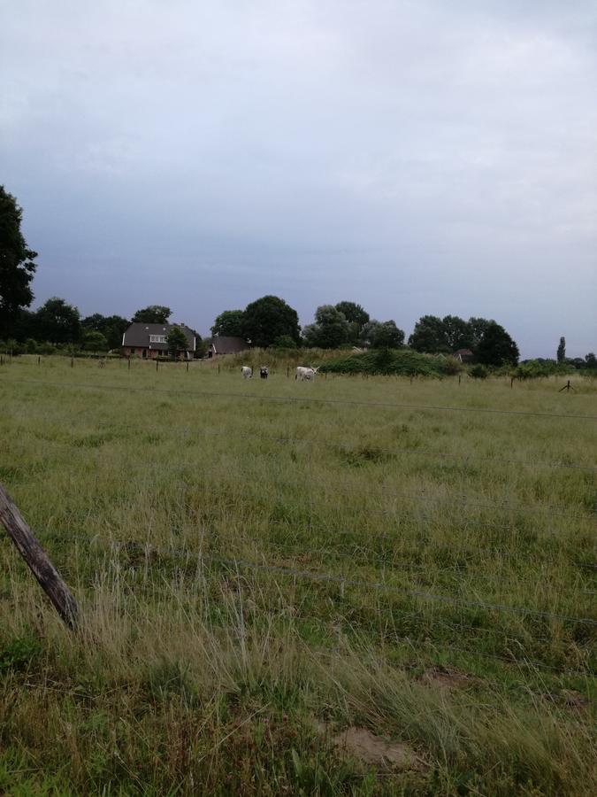 Recreatieoord Hippique Holiday home Westendorp