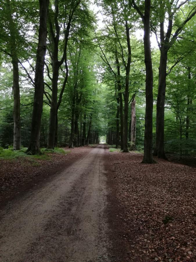 Recreatieoord Hippique Holiday home Westendorp